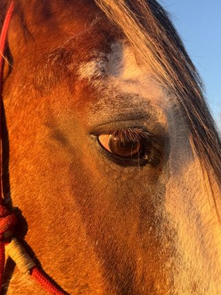 Having a closer look☀️☀️#hacknstay ...
